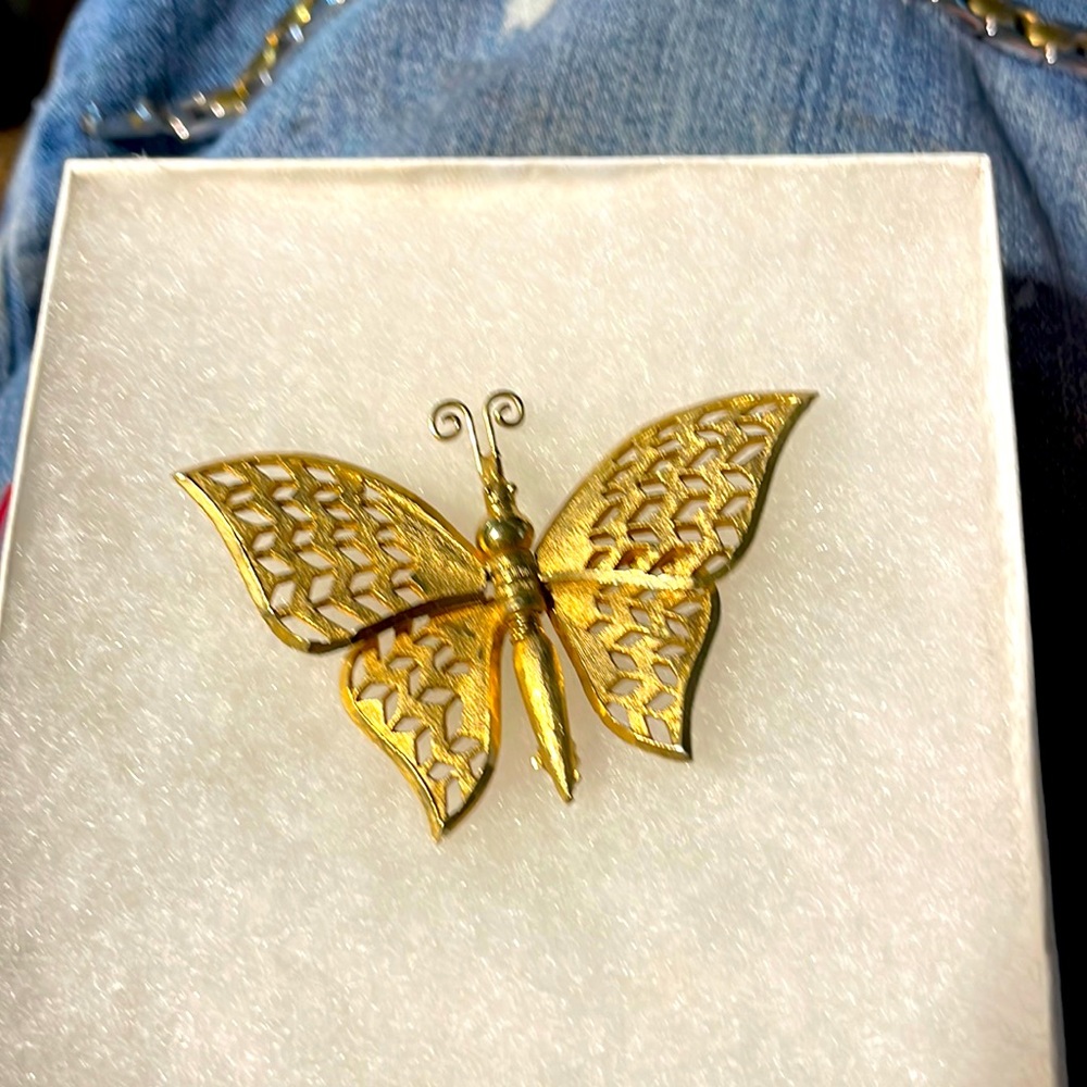 Vintage Butterfly Brooch pin wings movable buffed gold outlined  polished gold.